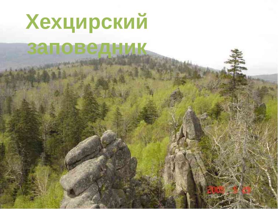 Хехцирский заповедник - Скачать презентации бесплатно ☑ Презентации по предметам на gdz-books.ru