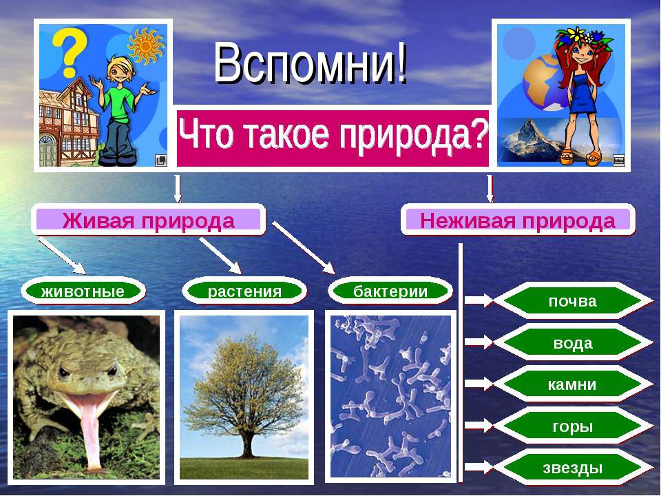 Рукотворная жизнь - Скачать презентации бесплатно ☑ Презентации по предметам на gdz-books.ru
