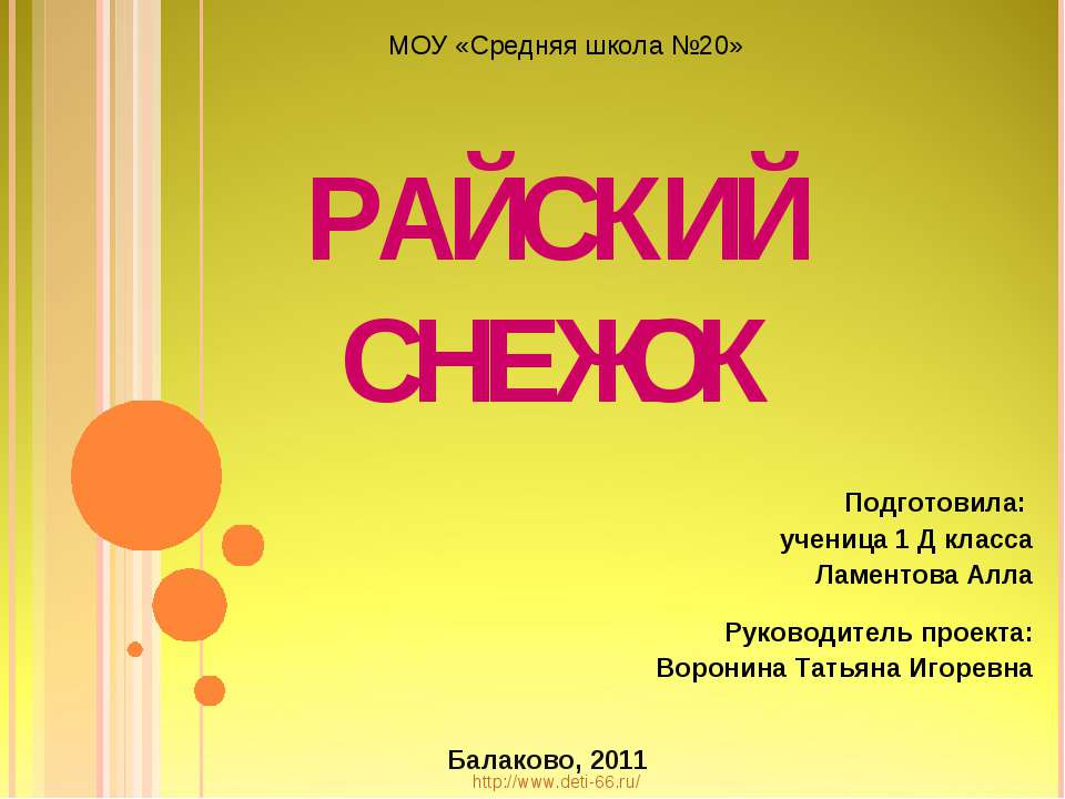 Райский снежок - Скачать презентации бесплатно ☑ Презентации по предметам на gdz-books.ru