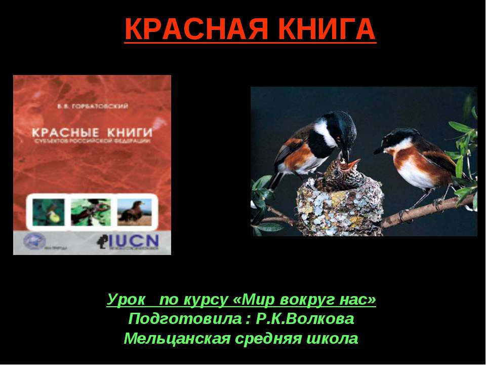 Красная книга  - Скачать презентации бесплатно | Читать или скачать учебники для школы онлайн бесплатно ☑ Школьные учебники school-textbook.com