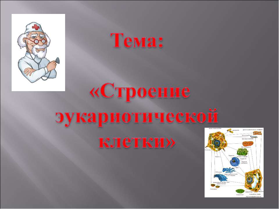 Строение эукариотической клетки  - Скачать презентации бесплатно | Читать или скачать учебники для школы онлайн бесплатно ☑ Школьные учебники school-textbook.com