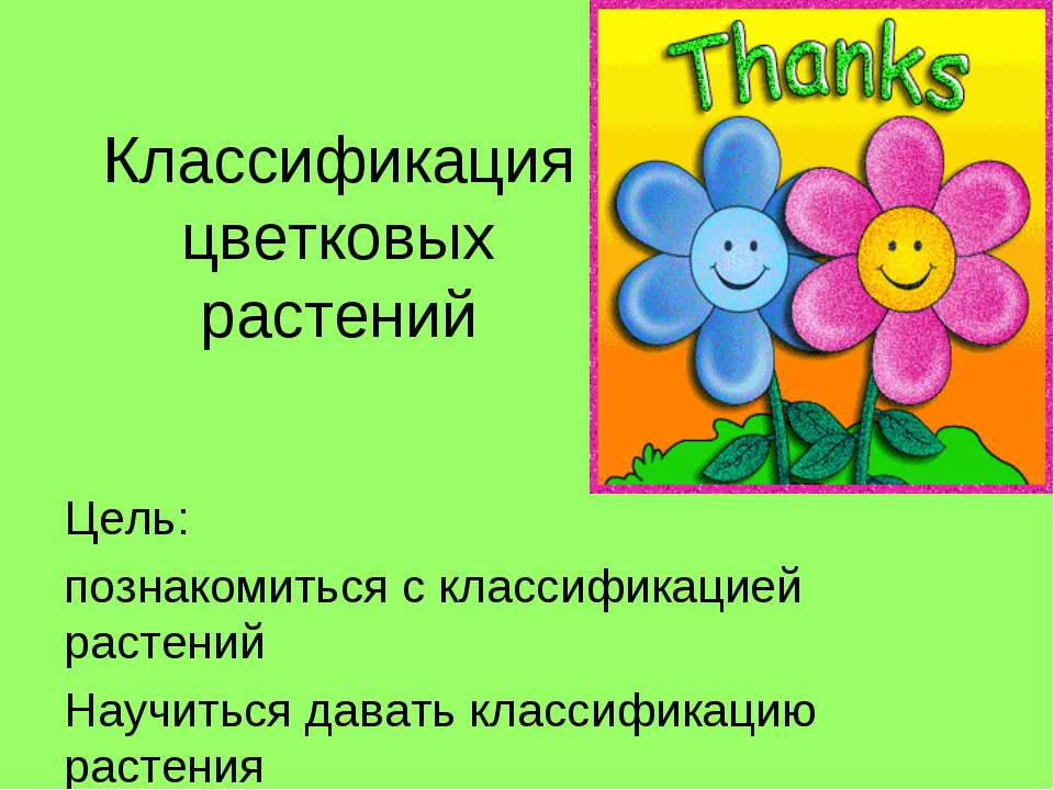 Классификация цветковых растений  - Скачать презентации бесплатно | Читать или скачать учебники для школы онлайн бесплатно ☑ Школьные учебники school-textbook.com