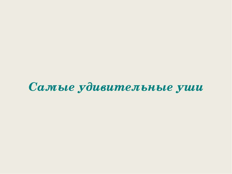 Самые удивительные уши  - Скачать презентации бесплатно | Читать или скачать учебники для школы онлайн бесплатно ☑ Школьные учебники school-textbook.com