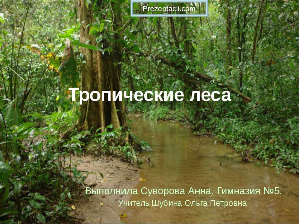 Тропические леса  - Скачать презентации бесплатно | Читать или скачать учебники для школы онлайн бесплатно ☑ Школьные учебники school-textbook.com