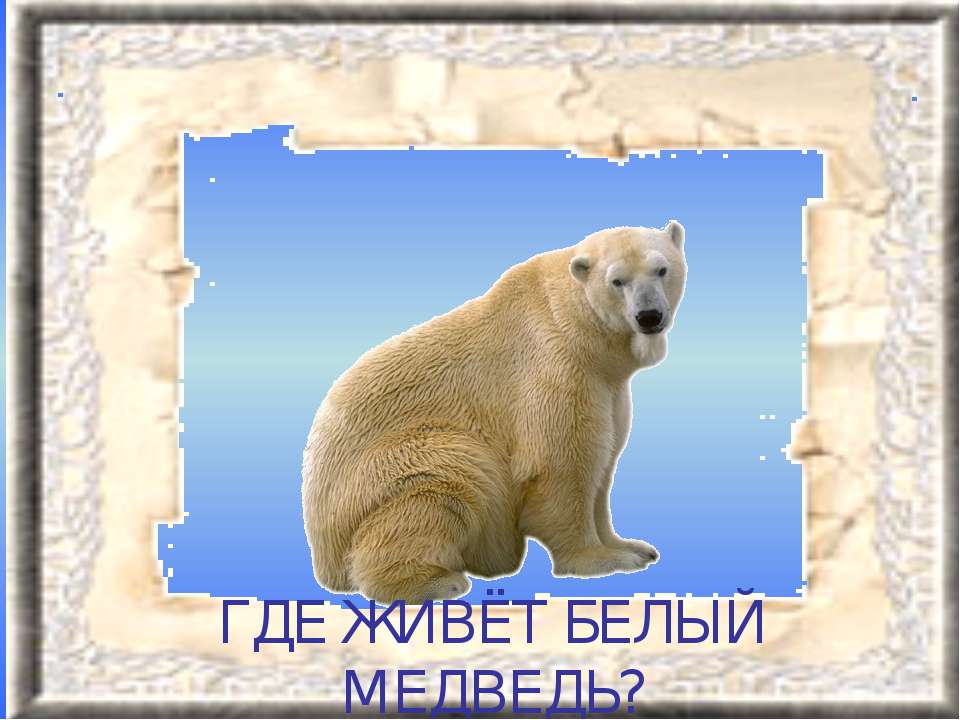 Где живёт белый медведь?  - Скачать презентации бесплатно | Читать или скачать учебники для школы онлайн бесплатно ☑ Школьные учебники school-textbook.com