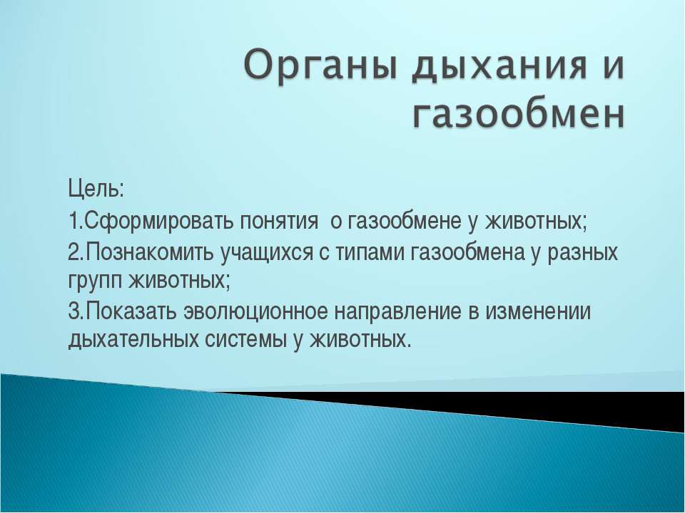 Органы дыхания и газообмен  - Скачать презентации бесплатно | Читать или скачать учебники для школы онлайн бесплатно ☑ Школьные учебники school-textbook.com