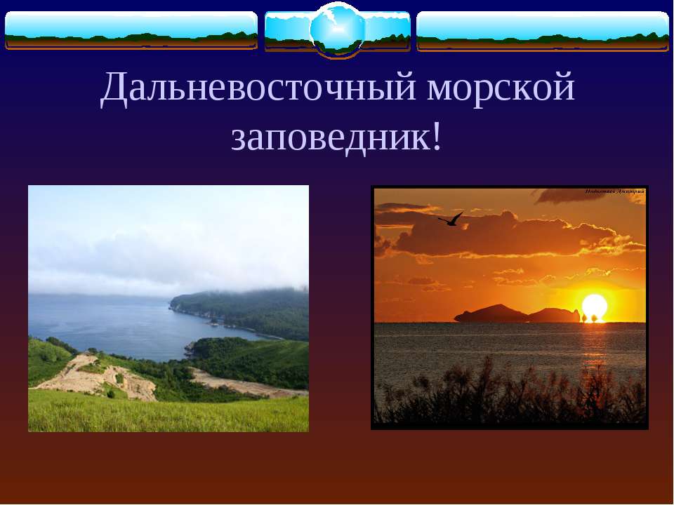 Дальневосточный морской заповедник! - Скачать презентации бесплатно ☑ Презентации по предметам на gdz-books.ru