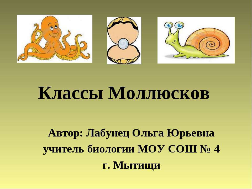 Классы Моллюсков - Скачать презентации бесплатно ☑ Презентации по предметам на gdz-books.ru