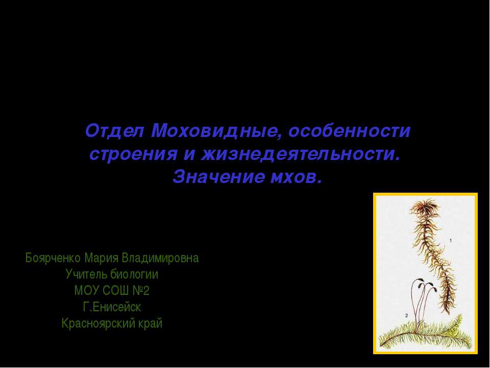 Отдел Моховидные, особенности строения и жизнедеятельности. Значение мхов  - Скачать презентации бесплатно | Читать или скачать учебники для школы онлайн бесплатно ☑ Школьные учебники school-textbook.com