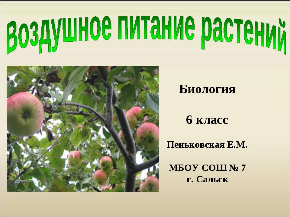 Воздушное питание растений 6 класс  - Скачать презентации бесплатно | Читать или скачать учебники для школы онлайн бесплатно ☑ Школьные учебники school-textbook.com