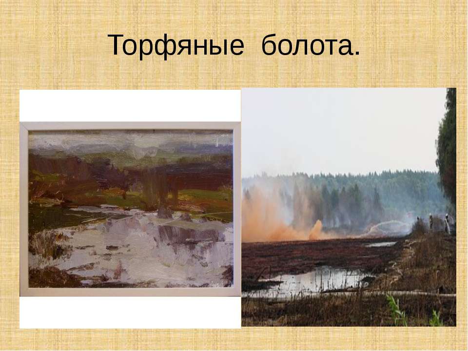 Торфяные болота  - Скачать презентации бесплатно | Читать или скачать учебники для школы онлайн бесплатно ☑ Школьные учебники school-textbook.com