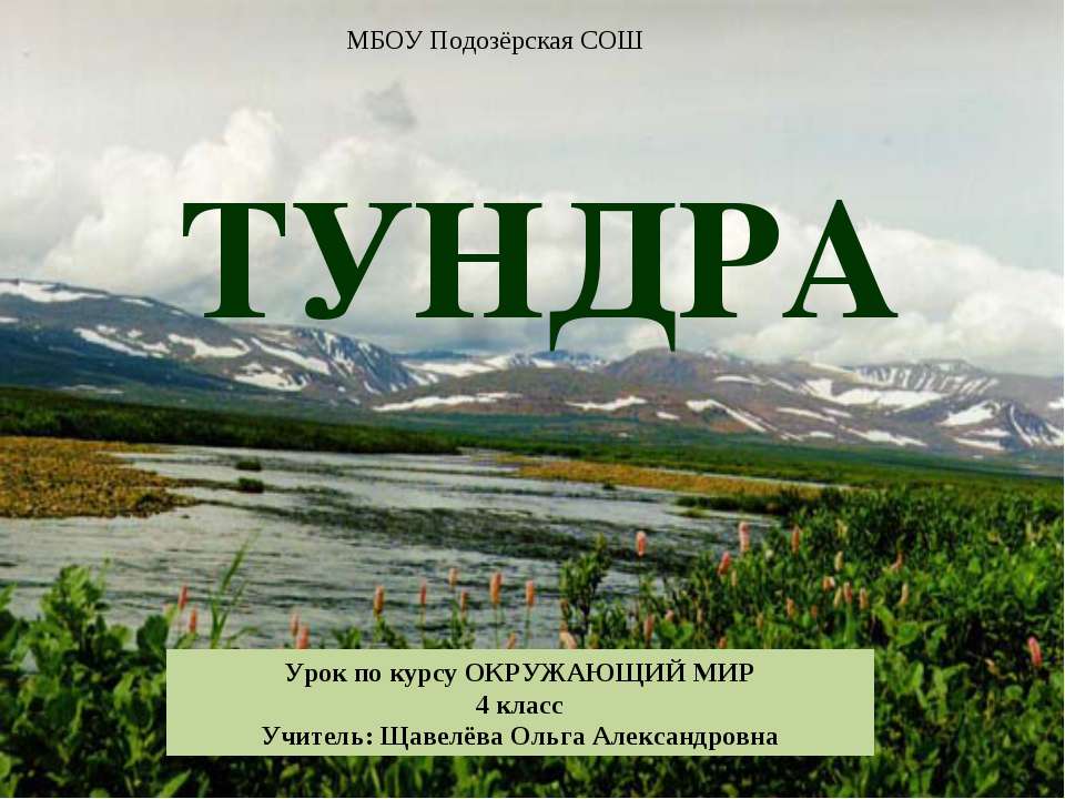 Тундра 4 класс  - Скачать презентации бесплатно | Читать или скачать учебники для школы онлайн бесплатно ☑ Школьные учебники school-textbook.com