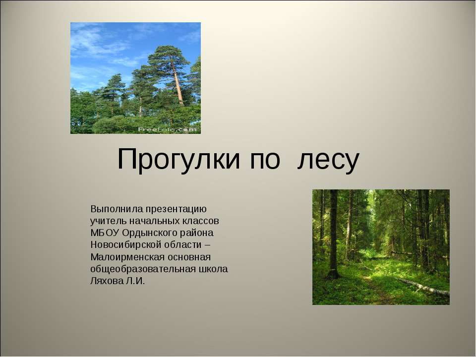 Прогулки по лесу  - Скачать презентации бесплатно | Читать или скачать учебники для школы онлайн бесплатно ☑ Школьные учебники school-textbook.com