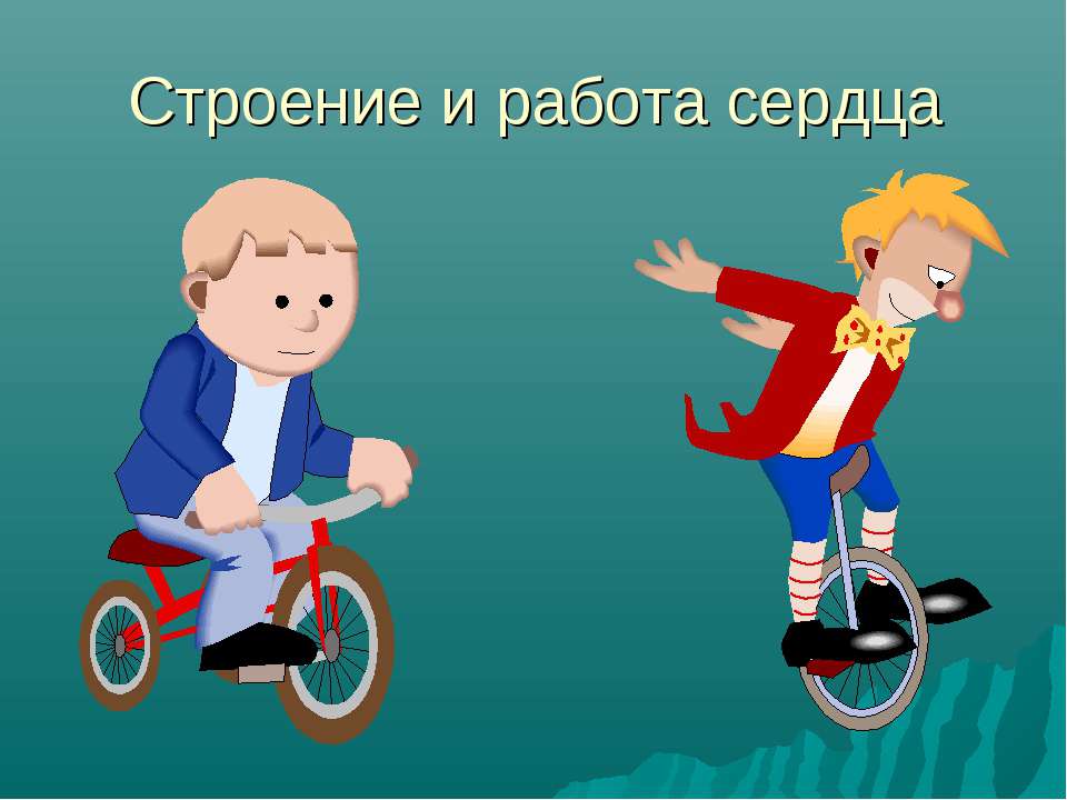 Строение и работа сердца  - Скачать презентации бесплатно | Читать или скачать учебники для школы онлайн бесплатно ☑ Школьные учебники school-textbook.com