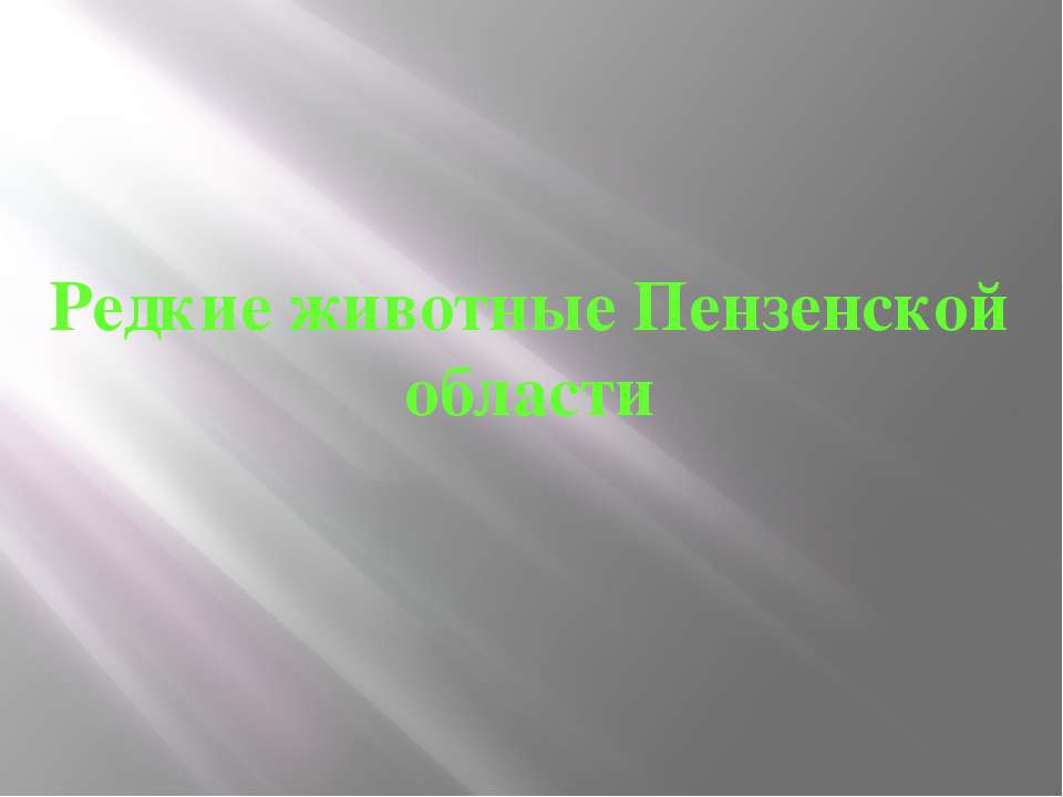 Редкие животные Пензенской области  - Скачать презентации бесплатно | Читать или скачать учебники для школы онлайн бесплатно ☑ Школьные учебники school-textbook.com