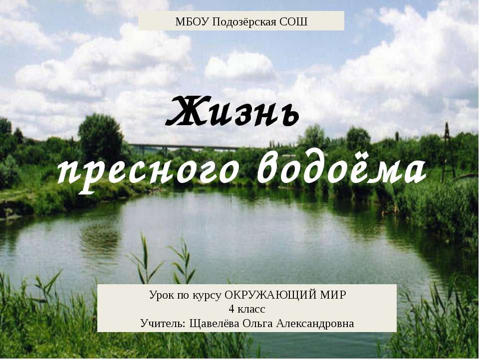 Жизнь пресного водоема 4 класс - Скачать презентации бесплатно ☑ Презентации по предметам на gdz-books.ru