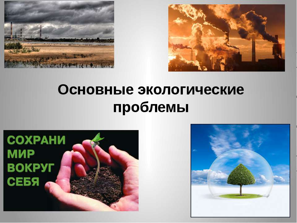 Основные экологические проблемы  - Скачать презентации бесплатно | Читать или скачать учебники для школы онлайн бесплатно ☑ Школьные учебники school-textbook.com