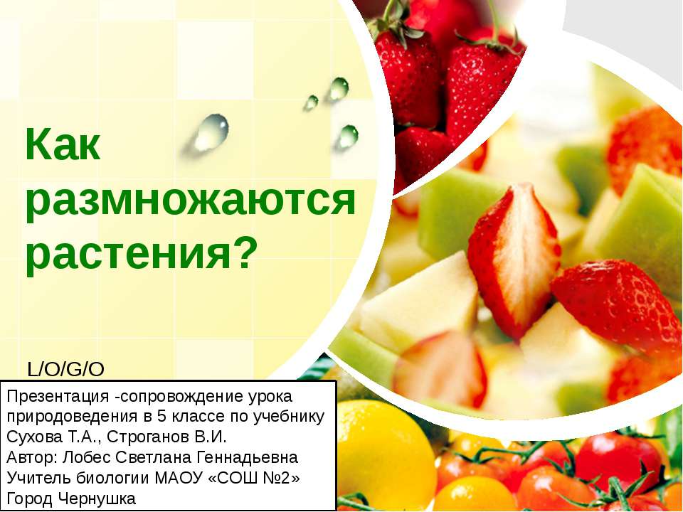 Как размножаются растения - Скачать презентации бесплатно ☑ Презентации по предметам на gdz-books.ru