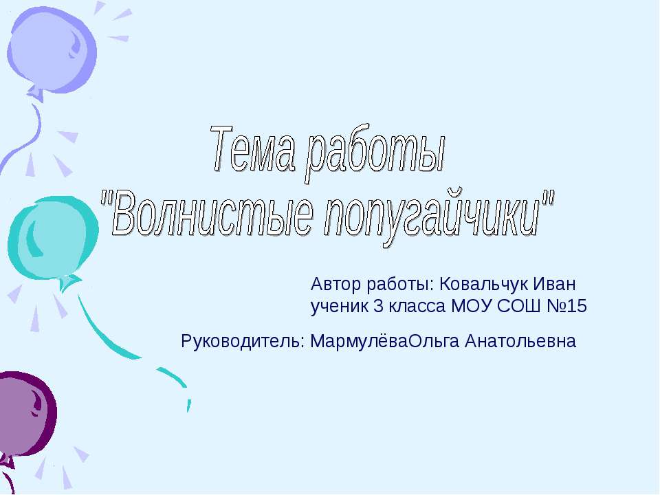 Волнистые попугайчики - Скачать презентации бесплатно ☑ Презентации по предметам на gdz-books.ru