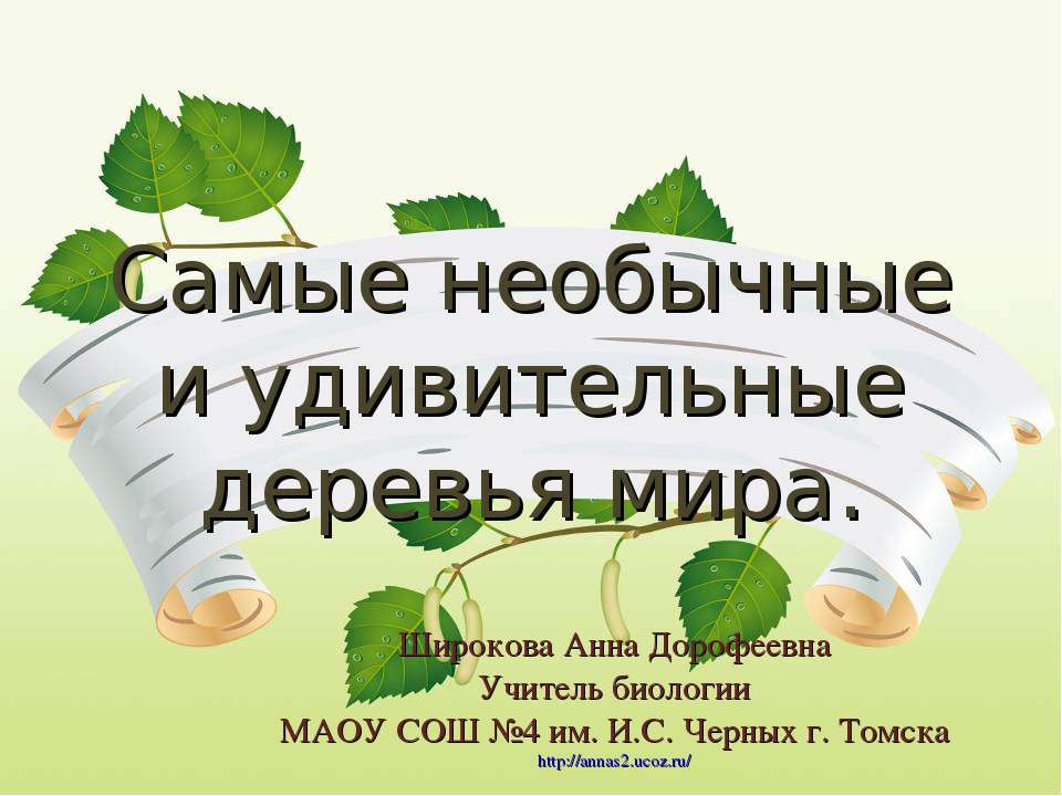 Самые удивительные и необычные деревья мира  - Скачать презентации бесплатно | Читать или скачать учебники для школы онлайн бесплатно ☑ Школьные учебники school-textbook.com