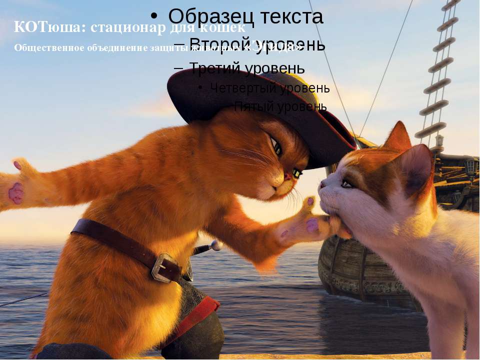 КОТюша - Скачать презентации бесплатно ☑ Презентации по предметам на gdz-books.ru