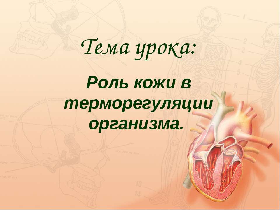 Роль кожи в терморегуляции организма - Скачать презентации бесплатно ☑ Презентации по предметам на gdz-books.ru