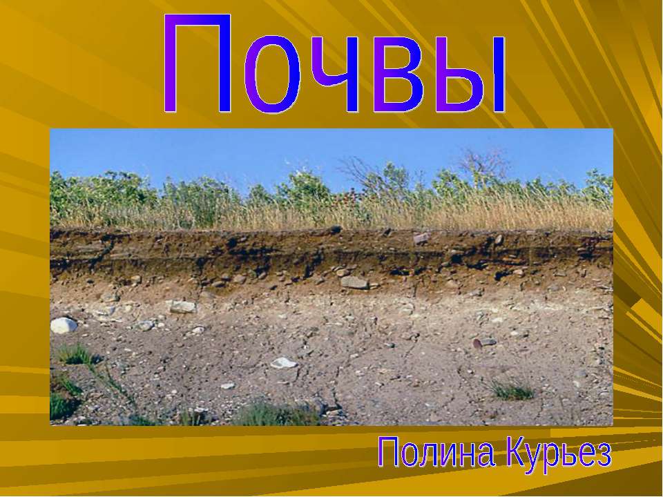 Почвы - Скачать презентации бесплатно ☑ Презентации по предметам на gdz-books.ru