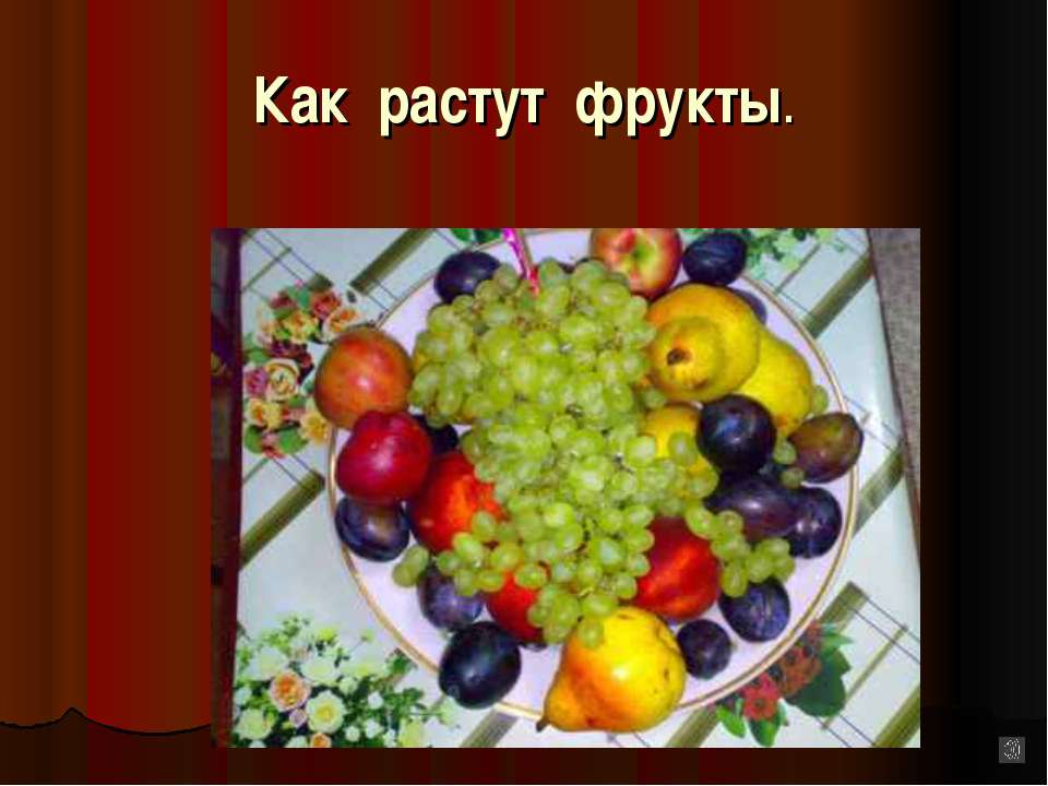 Как растут фрукты.  - Скачать презентации бесплатно | Читать или скачать учебники для школы онлайн бесплатно ☑ Школьные учебники school-textbook.com