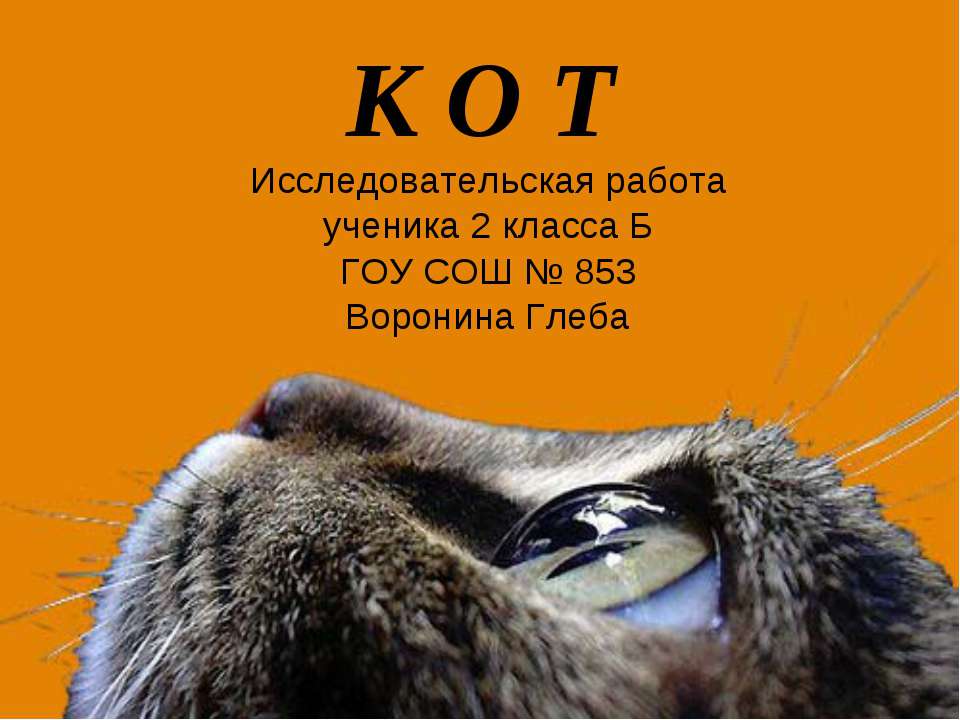 Кот - Скачать презентации бесплатно ☑ Презентации по предметам на gdz-books.ru