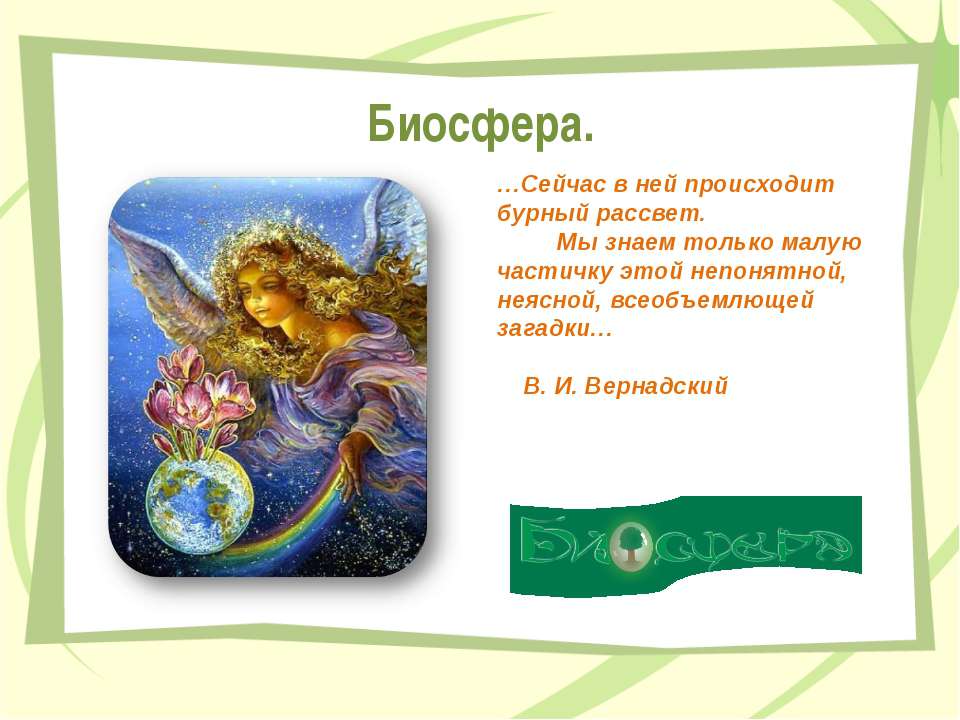 Биосфера  - Скачать презентации бесплатно | Читать или скачать учебники для школы онлайн бесплатно ☑ Школьные учебники school-textbook.com