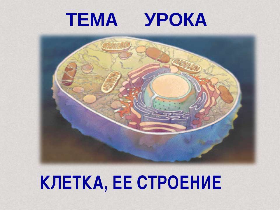 Клетка, её строение - Скачать презентации бесплатно ☑ Презентации по предметам на gdz-books.ru