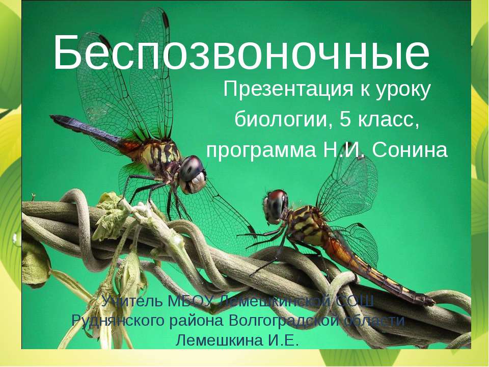 Беспозвоночные - Скачать презентации бесплатно ☑ Презентации по предметам на gdz-books.ru