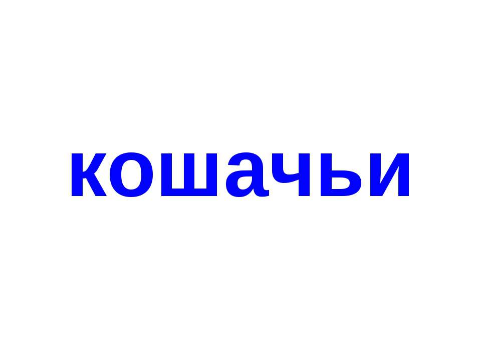 Кошачьи - Скачать презентации бесплатно ☑ Презентации по предметам на gdz-books.ru