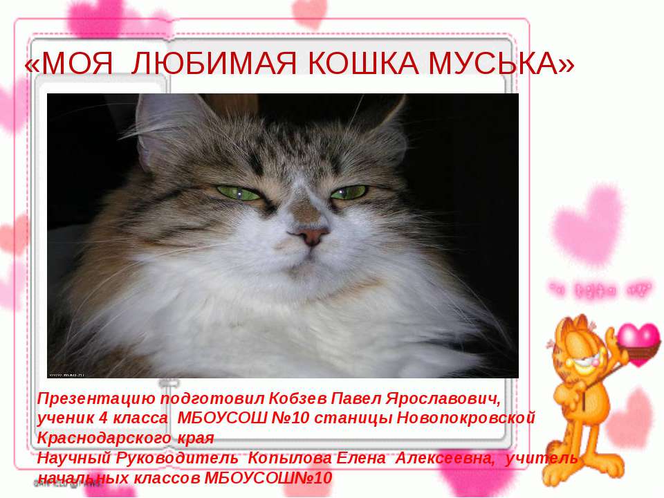 Моя любимая кошка Муська - Скачать презентации бесплатно ☑ Презентации по предметам на gdz-books.ru
