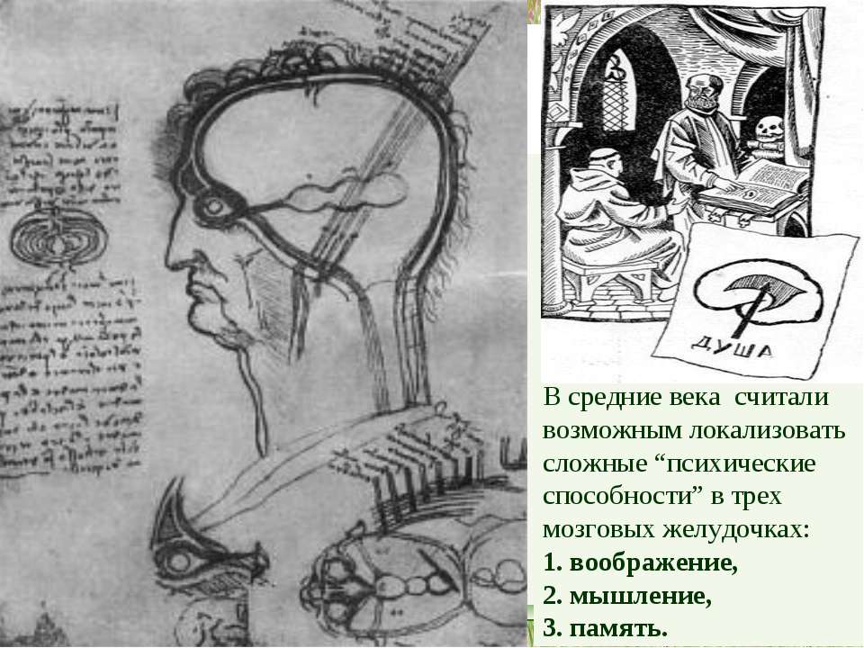Теория А.Р. Лурия - Скачать презентации бесплатно ☑ Презентации по предметам на gdz-books.ru