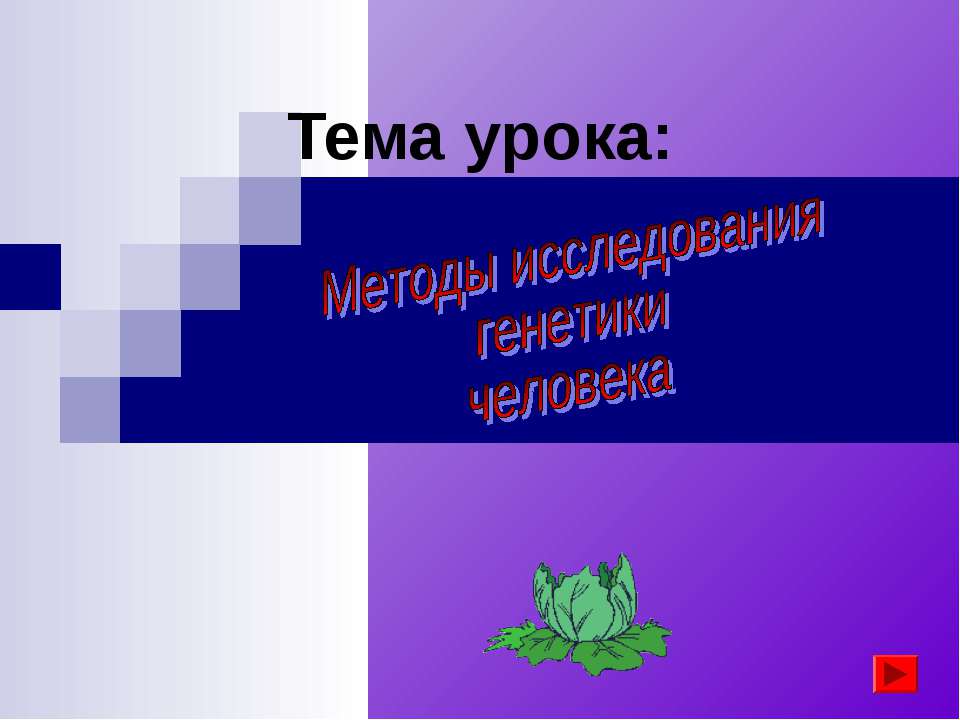 Методы исследования генетики человека  - Скачать презентации бесплатно | Читать или скачать учебники для школы онлайн бесплатно ☑ Школьные учебники school-textbook.com