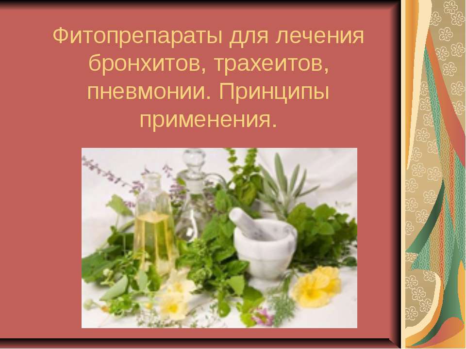 Фитопрепараты для лечения бронхитов, трахеитов, пневмонии. Принципы применения  - Скачать презентации бесплатно | Читать или скачать учебники для школы онлайн бесплатно ☑ Школьные учебники school-textbook.com