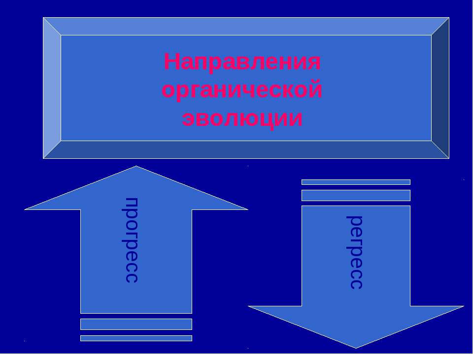 Направления органической эволюции  - Скачать презентации бесплатно | Читать или скачать учебники для школы онлайн бесплатно ☑ Школьные учебники school-textbook.com