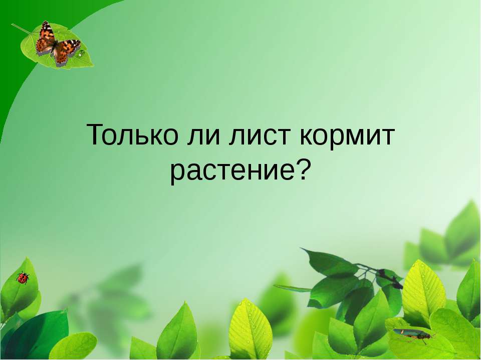 Только ли лист кормит растение?  - Скачать презентации бесплатно | Читать или скачать учебники для школы онлайн бесплатно ☑ Школьные учебники school-textbook.com
