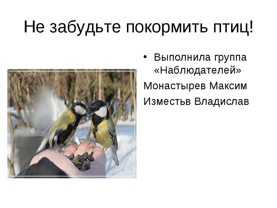 Не забудьте покормить птиц - Скачать презентации бесплатно ☑ Презентации по предметам на gdz-books.ru