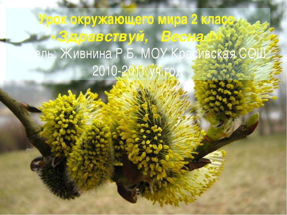 Здравствуй, Весна 2 класс  - Скачать презентации бесплатно | Читать или скачать учебники для школы онлайн бесплатно ☑ Школьные учебники school-textbook.com