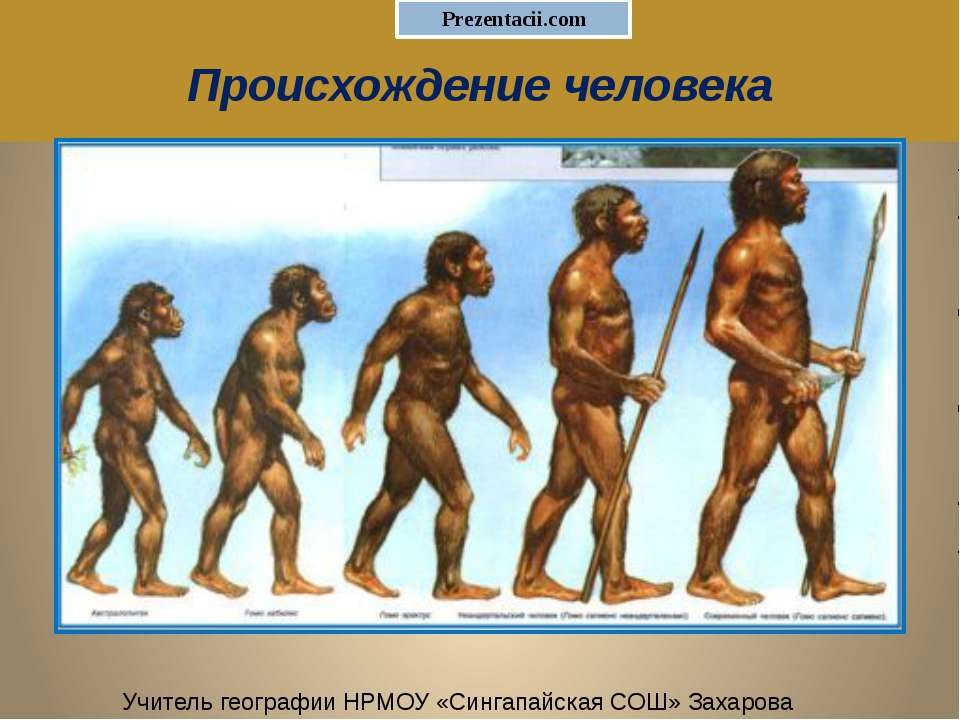 Происхождение человека 11 класс - Скачать презентации бесплатно ☑ Презентации по предметам на gdz-books.ru