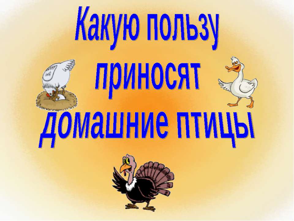 Какую пользу приносят домашние птицы  - Скачать презентации бесплатно | Читать или скачать учебники для школы онлайн бесплатно ☑ Школьные учебники school-textbook.com