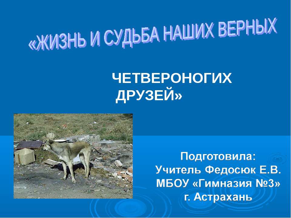 Жизнь четвероногих - Скачать презентации бесплатно ☑ Презентации по предметам на gdz-books.ru