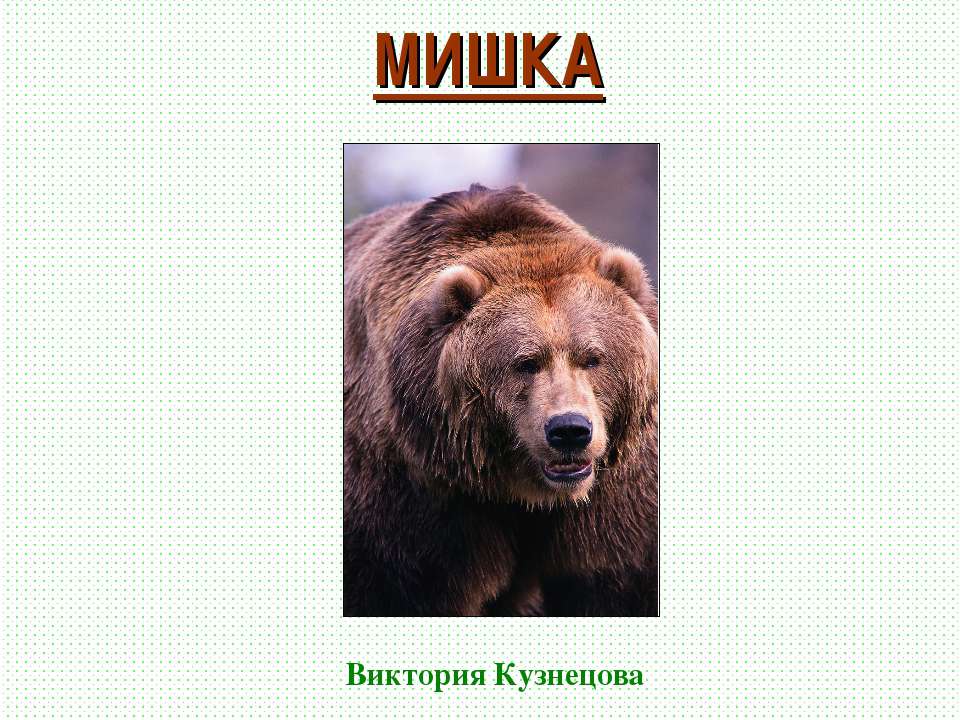 Мишка косолапый - Скачать презентации бесплатно ☑ Презентации по предметам на gdz-books.ru