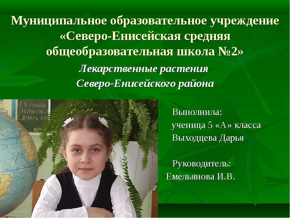 Лекарственные растения Северо-Енисейского района  - Скачать презентации бесплатно | Читать или скачать учебники для школы онлайн бесплатно ☑ Школьные учебники school-textbook.com