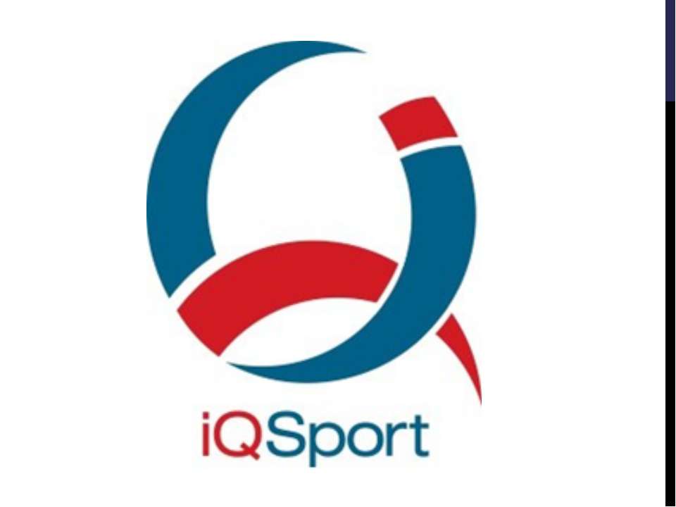 IQSport Маркетинговый план - Скачать презентации бесплатно ☑ Презентации по предметам на gdz-books.ru