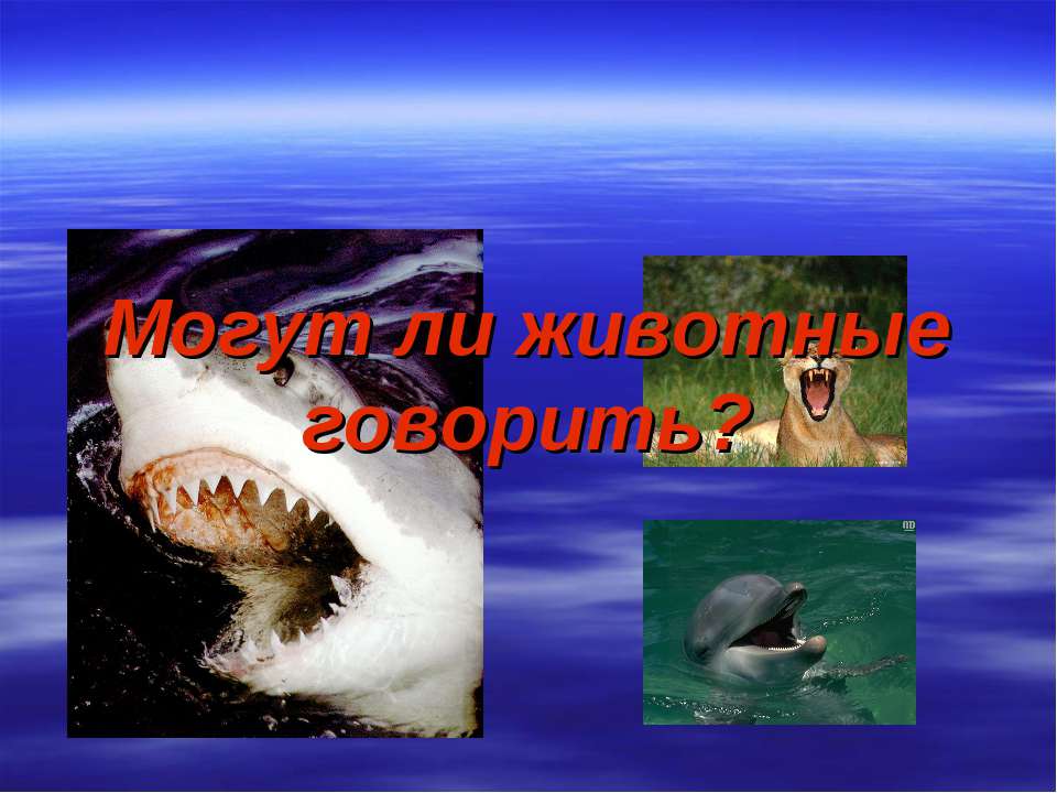 Могут ли животные говорить? - Скачать презентации бесплатно ☑ Презентации по предметам на gdz-books.ru