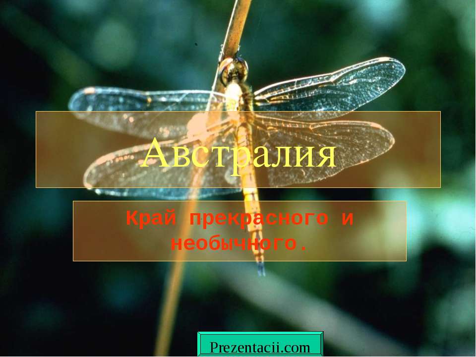 Животные Австралии - Скачать презентации бесплатно ☑ Презентации по предметам на gdz-books.ru