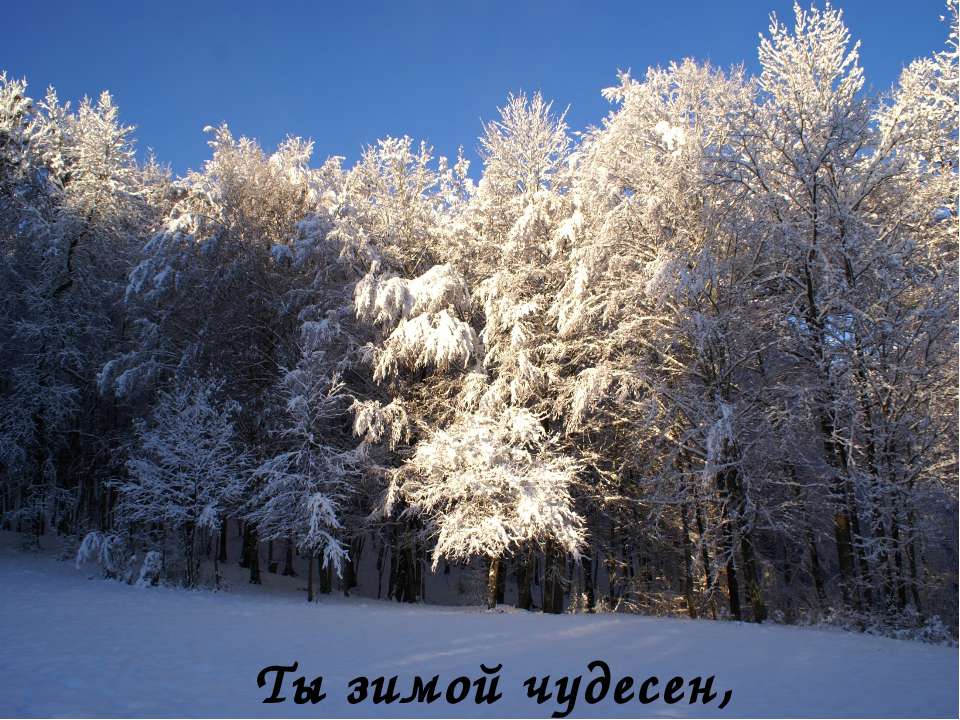 Казачий фольклор 3 класс  - Скачать презентации бесплатно | Читать или скачать учебники для школы онлайн бесплатно ☑ Школьные учебники school-textbook.com